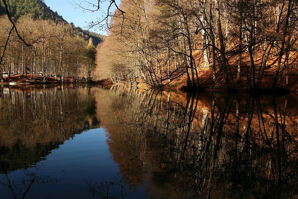 Yedigöller Milli Parkı