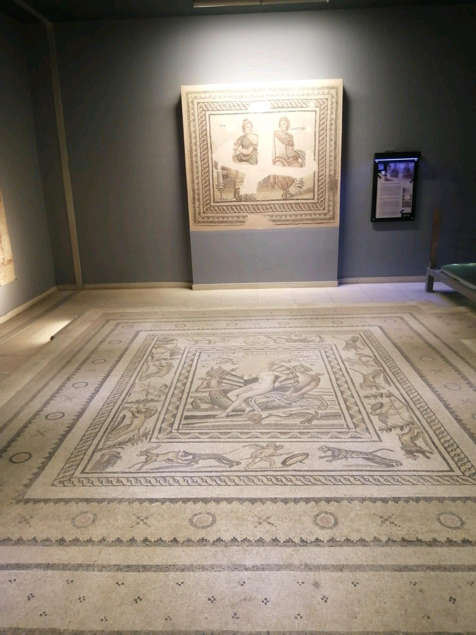 Zeugma Mozaik Müzesi 6