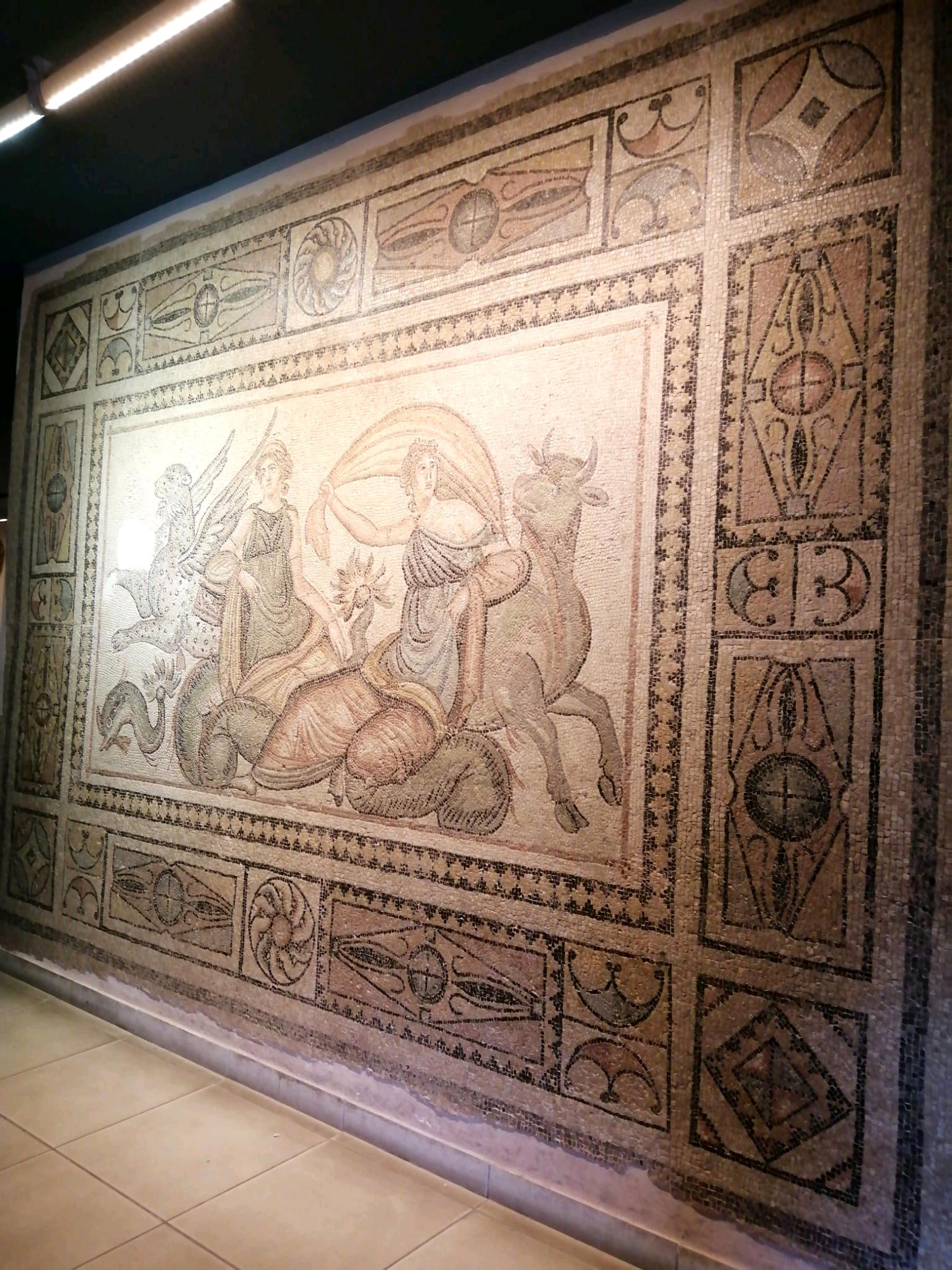 Zeugma Mozaik Müzesi 8