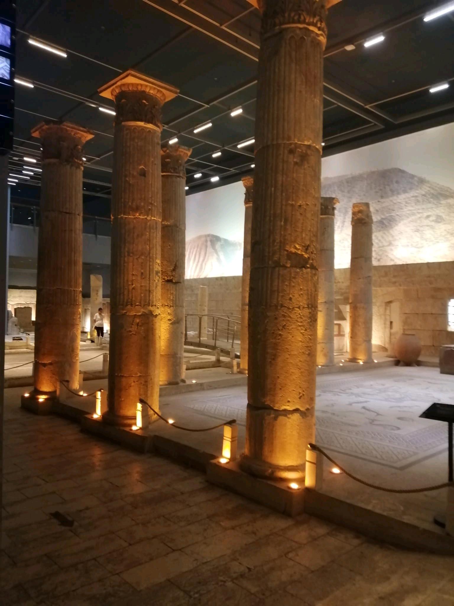 Zeugma Mozaik Müzesi 4