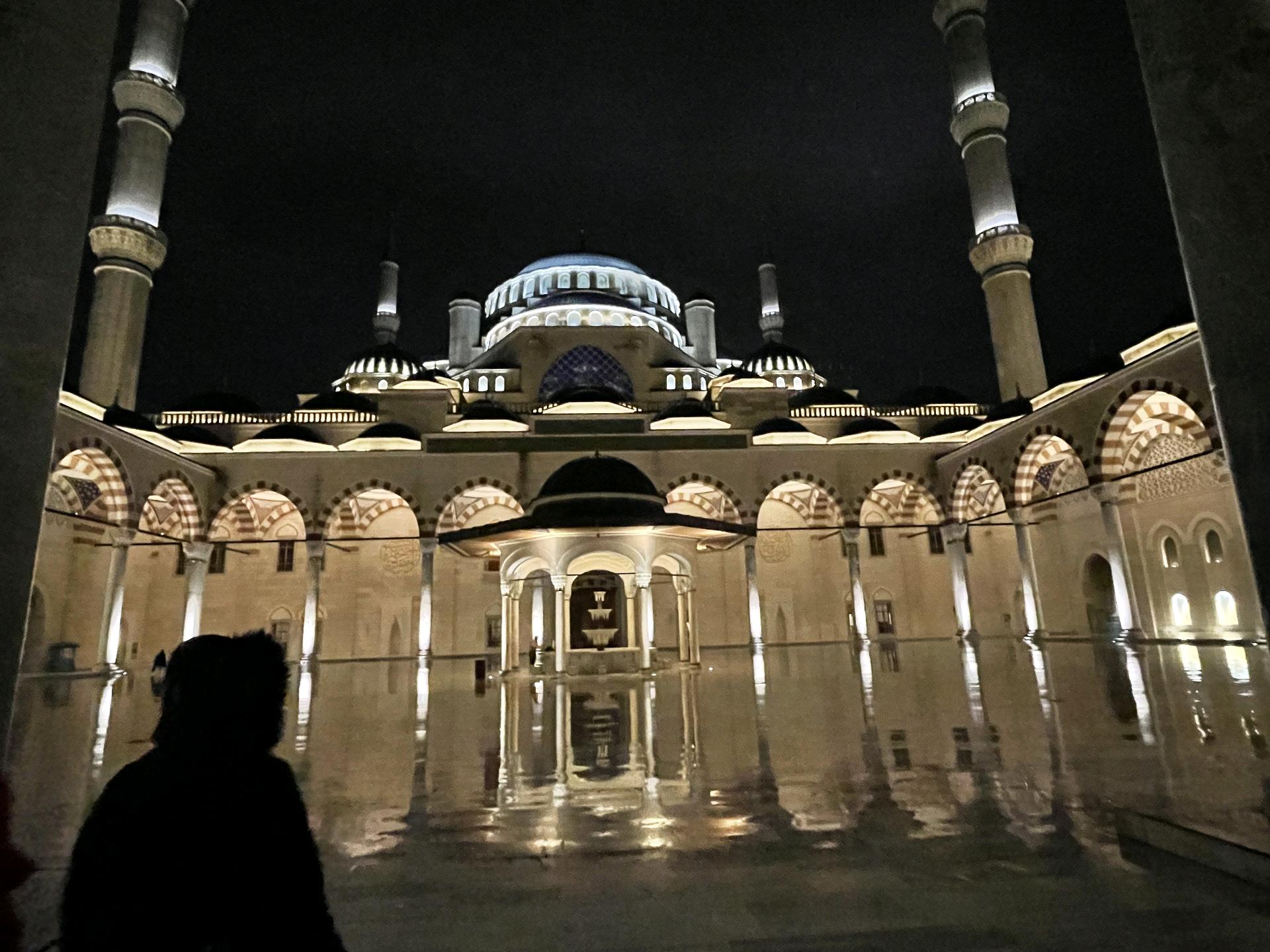 Büyük Çamlıca Camii 3