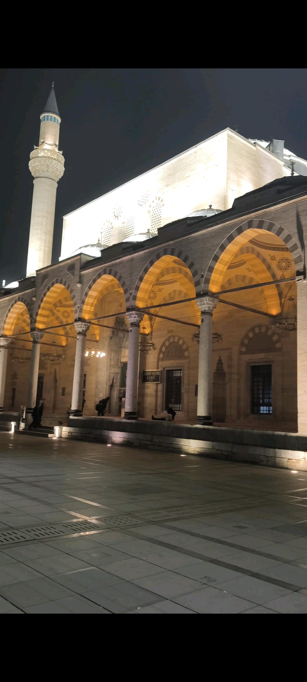 Sultan Selim Camii 2