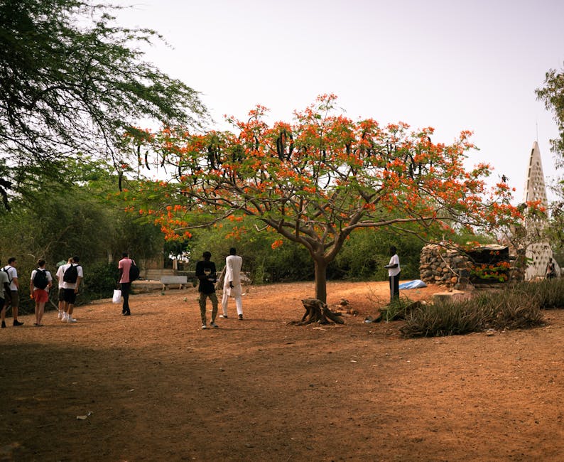 Senegal