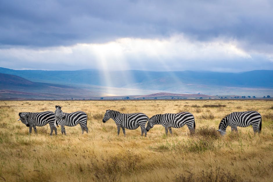 Tanzania