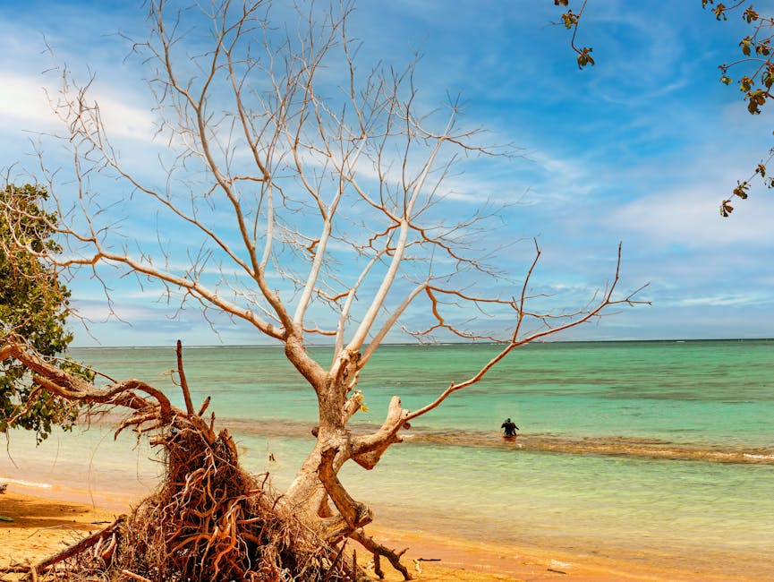 Samoa