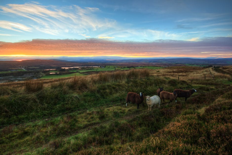 Ireland