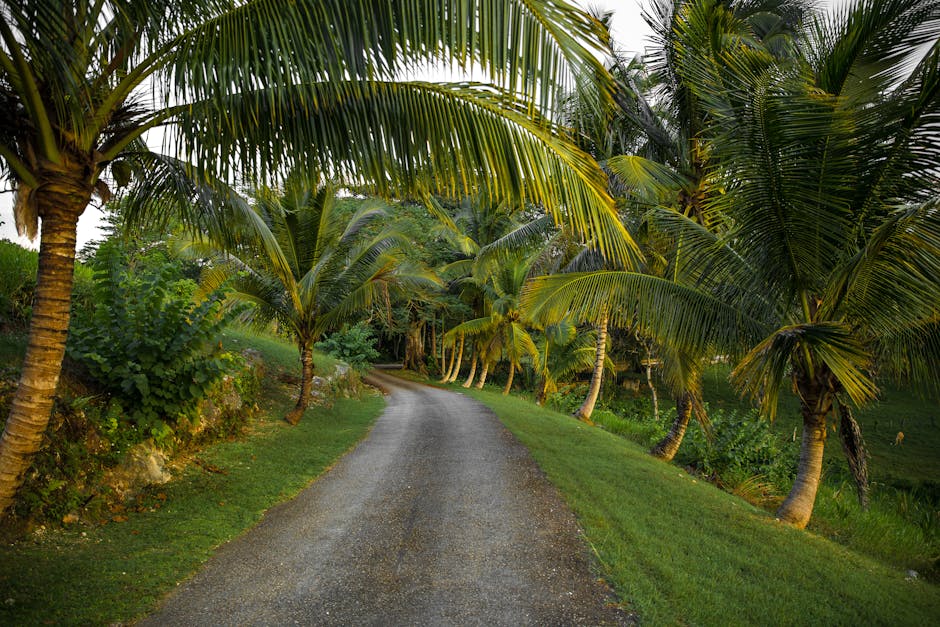 Jamaica