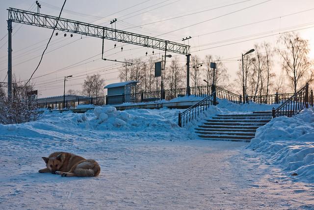 Sosnovaya Polyana