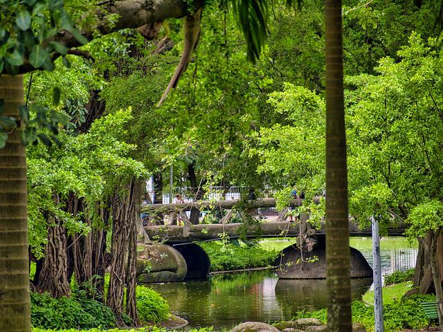 Campos Verdes