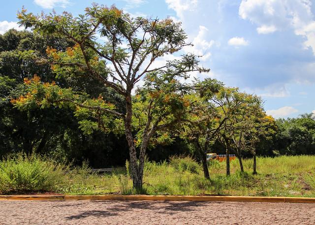 Foz do Iguaçu