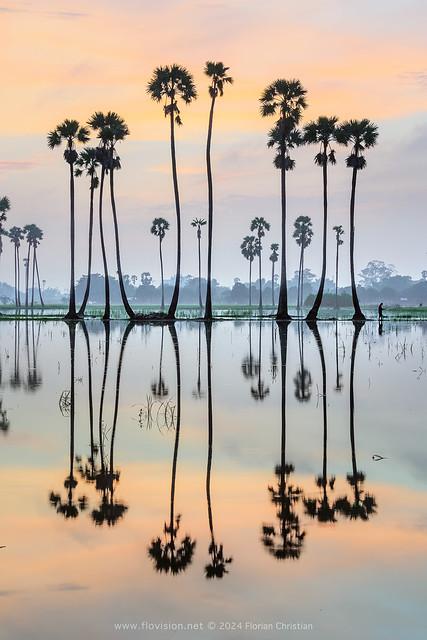 Pathum Thani