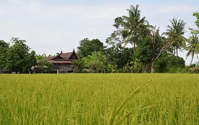 Phayao