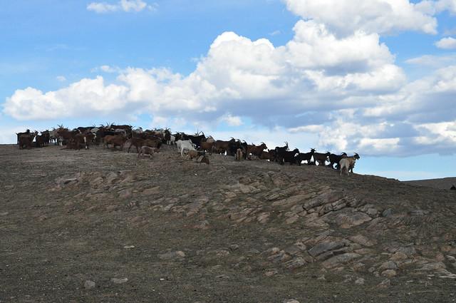 Govi-Altai Province