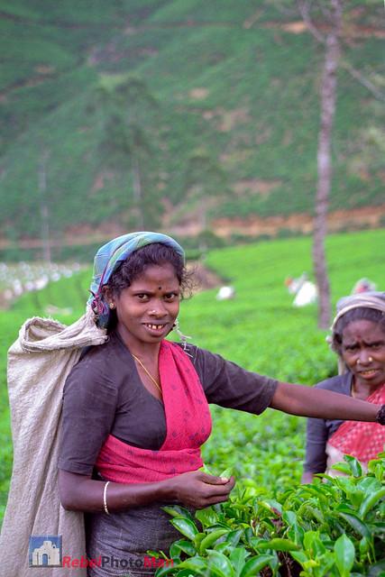 Nuwara Eliya District