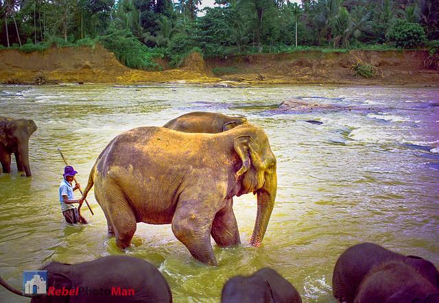 Sabaragamuwa Province