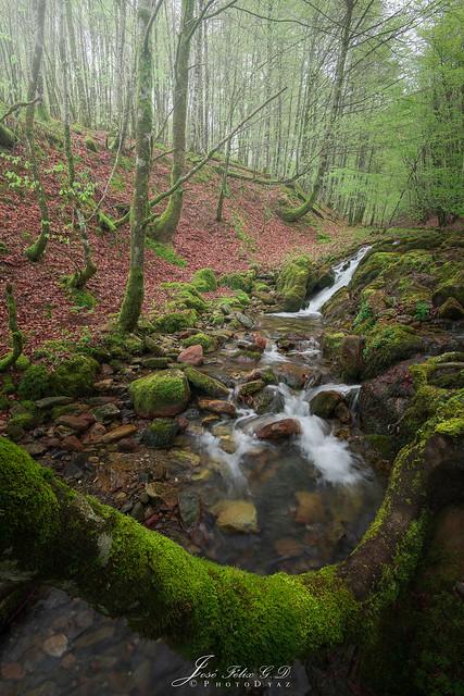 Navarra