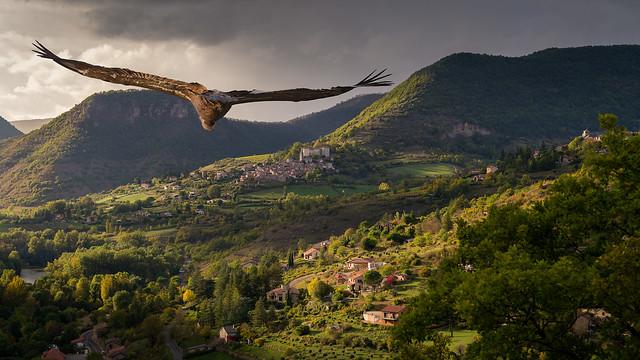 Lozère