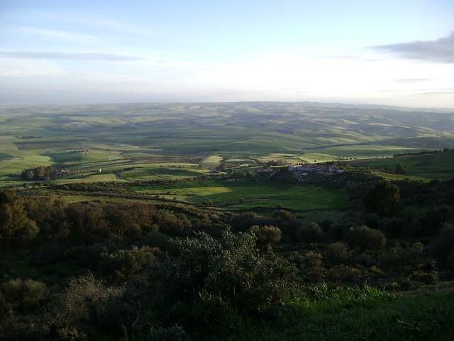 Sidi Bel Abbès