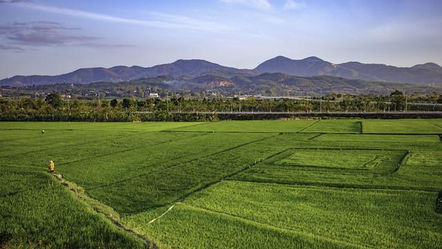 Buôn Ma Thuột image