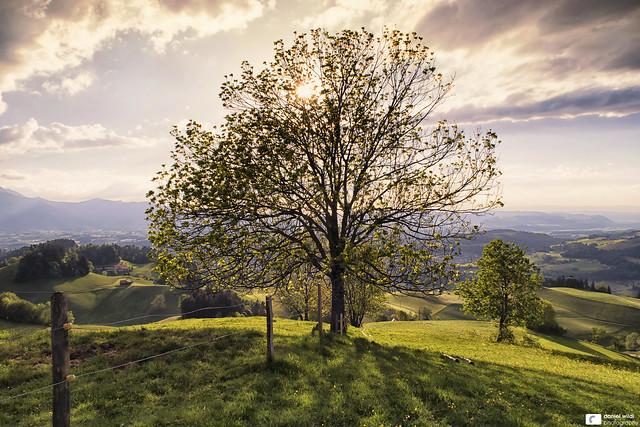 Heimberg