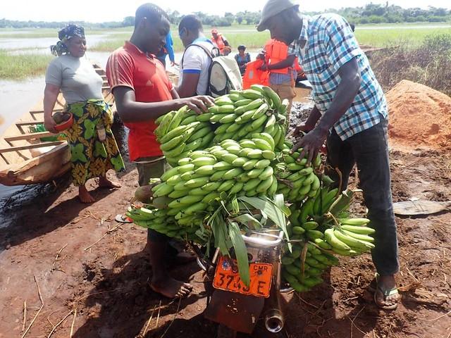 Bamenda image