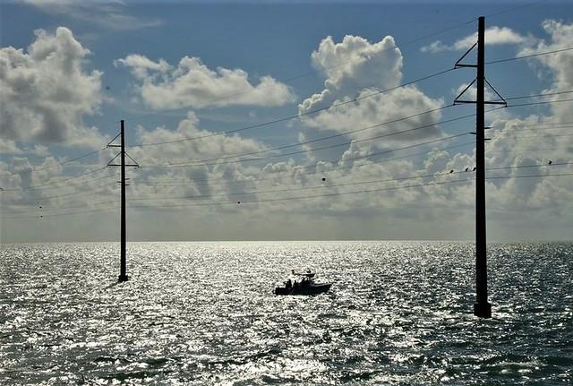 Bahía Tortugas