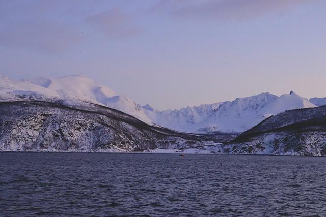 Skjervøy