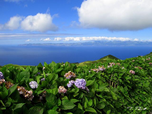 São Roque do Pico