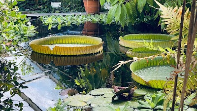 Botanisk hage (Oslo Botanical Garden)