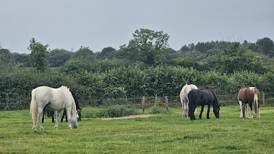 Mainistir Chluain (Clane Abbey)