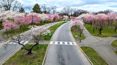 Branch Brook Park (Branch Brook Park)