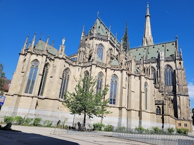 Maria-Empfängnis-Dom (St. Mary’s Cathedral)