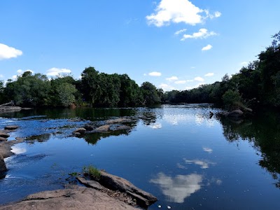 Reserva do Niassa (Niassa Reserve)