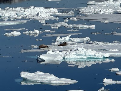 Syvøya (Seven Islands)