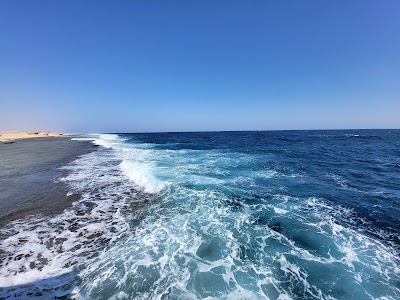 مرصد البحر الأحمر (Red Sea Observatory)