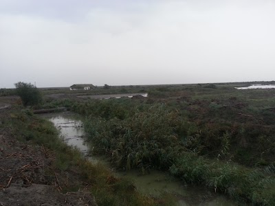 Qızıl-Ağac Təbiət Qoruğu (Gizil-Agaj Nature Reserve)