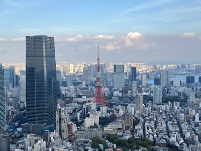 六本木ヒルズ (Roppongi Hills)