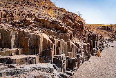 Organ Pipes