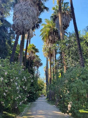 Jardim Botânico da Ajuda (Lisbon Botanical Garden)