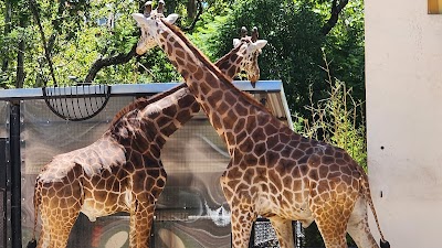 nos Aires Zoo</place_en_name>Jardín Zoológico de Buenos Aires (Buenos Aires Zoo)