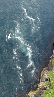 Saltstraumen (Saltstraumen)