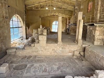 الحديقة الأثرية في مادبا (Madaba Archaeological Park)