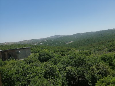 محمية غابات عجلون (Ajloun Forest Reserve)