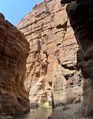 محمية الموجب (Al-Mujib Nature Reserve)