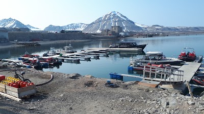 Ny-Ålesund (Ny-Ålesund)