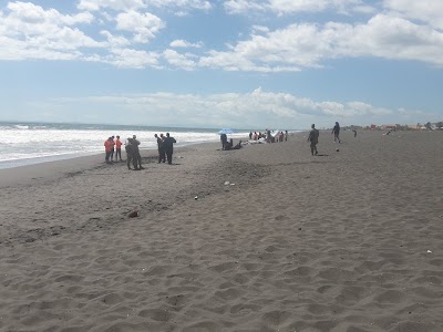 Playa La Barqueta (Playa La Barqueta)