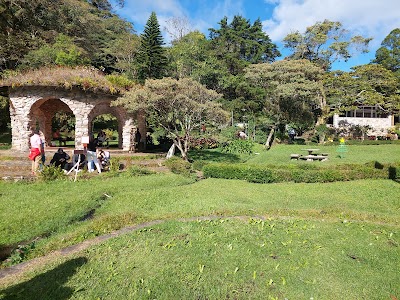 Parque Nacional Selva Negra (Parque Nacional Selva Negra)