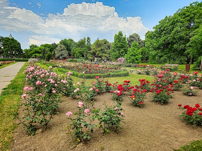 Qala's Botanical Garden (Qala's Botanical Garden)