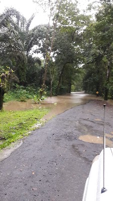 Estación Biológica La Selva (La Selva Biological Station)