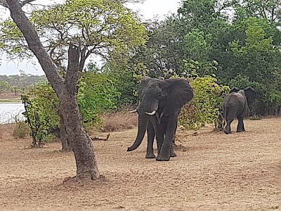 Kasungu National Park